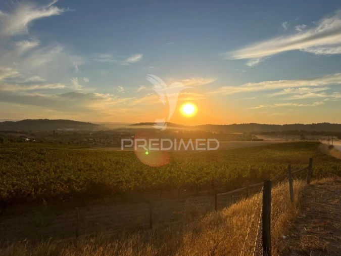 Quinta T5 para Venda em Redondo Foto 30