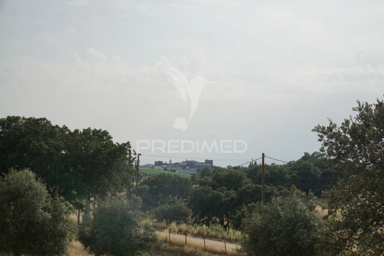 Quinta T5 para Venda em Redondo Foto 23