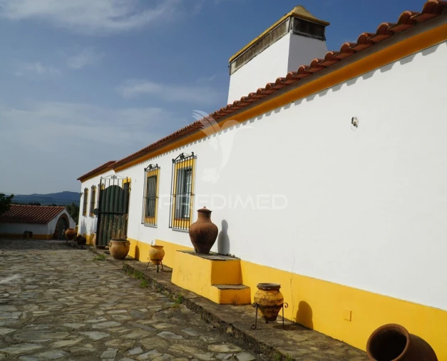 Quinta T5 para Venda em Redondo Foto 1