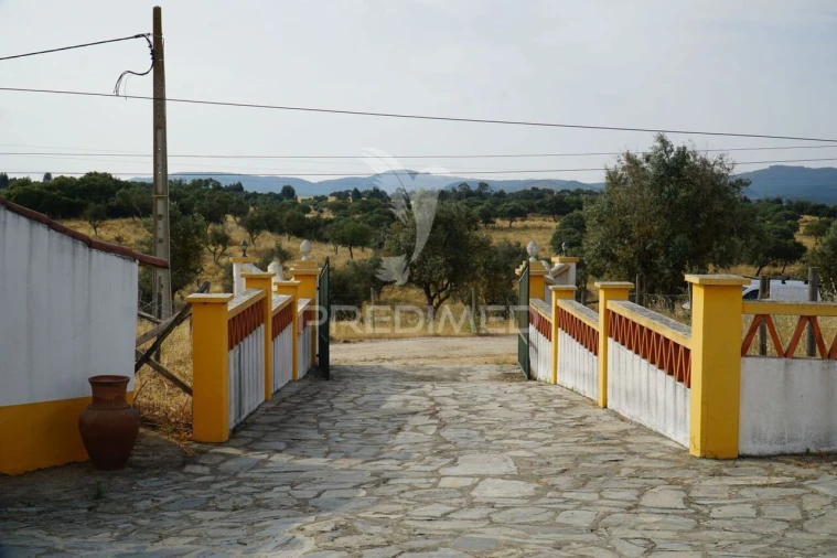 Quinta T5 para Venda em Redondo Foto 5