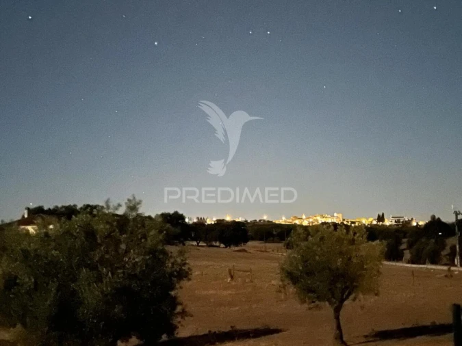 Quinta T5 para Venda em Redondo Foto 27