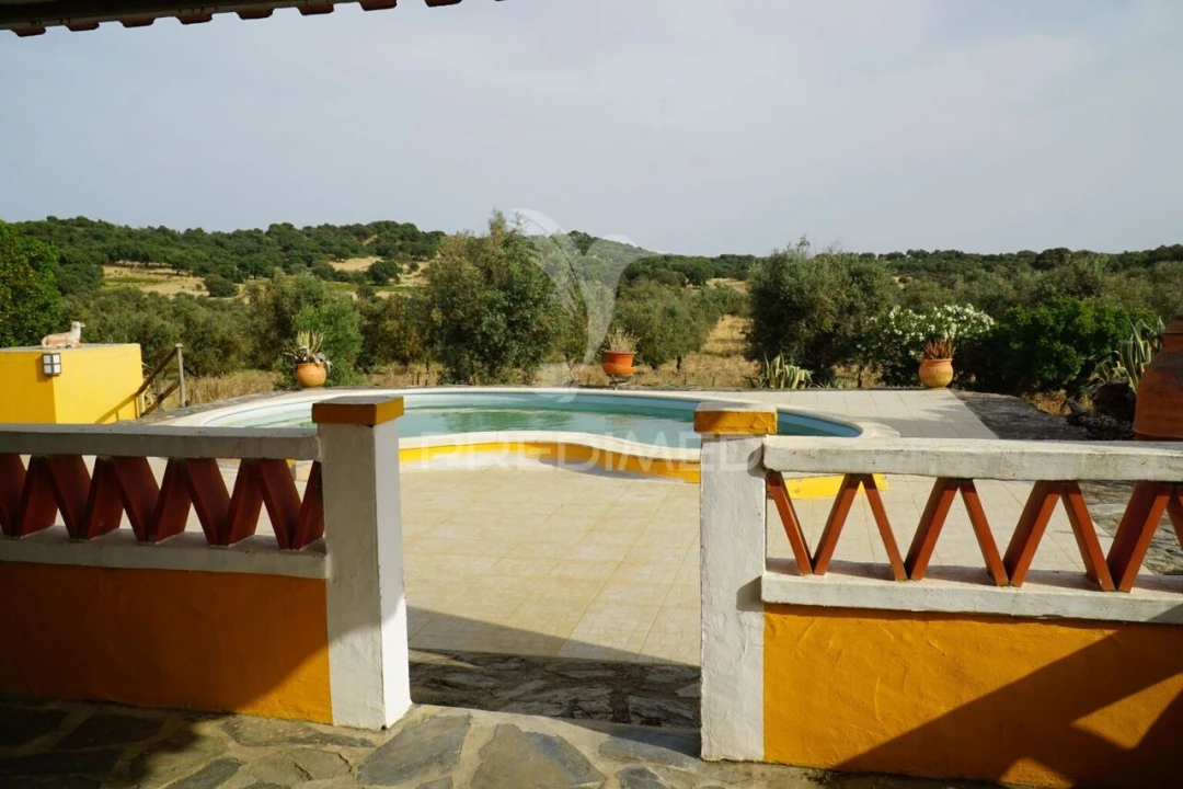 Quinta T5 para Venda em Redondo Foto 15