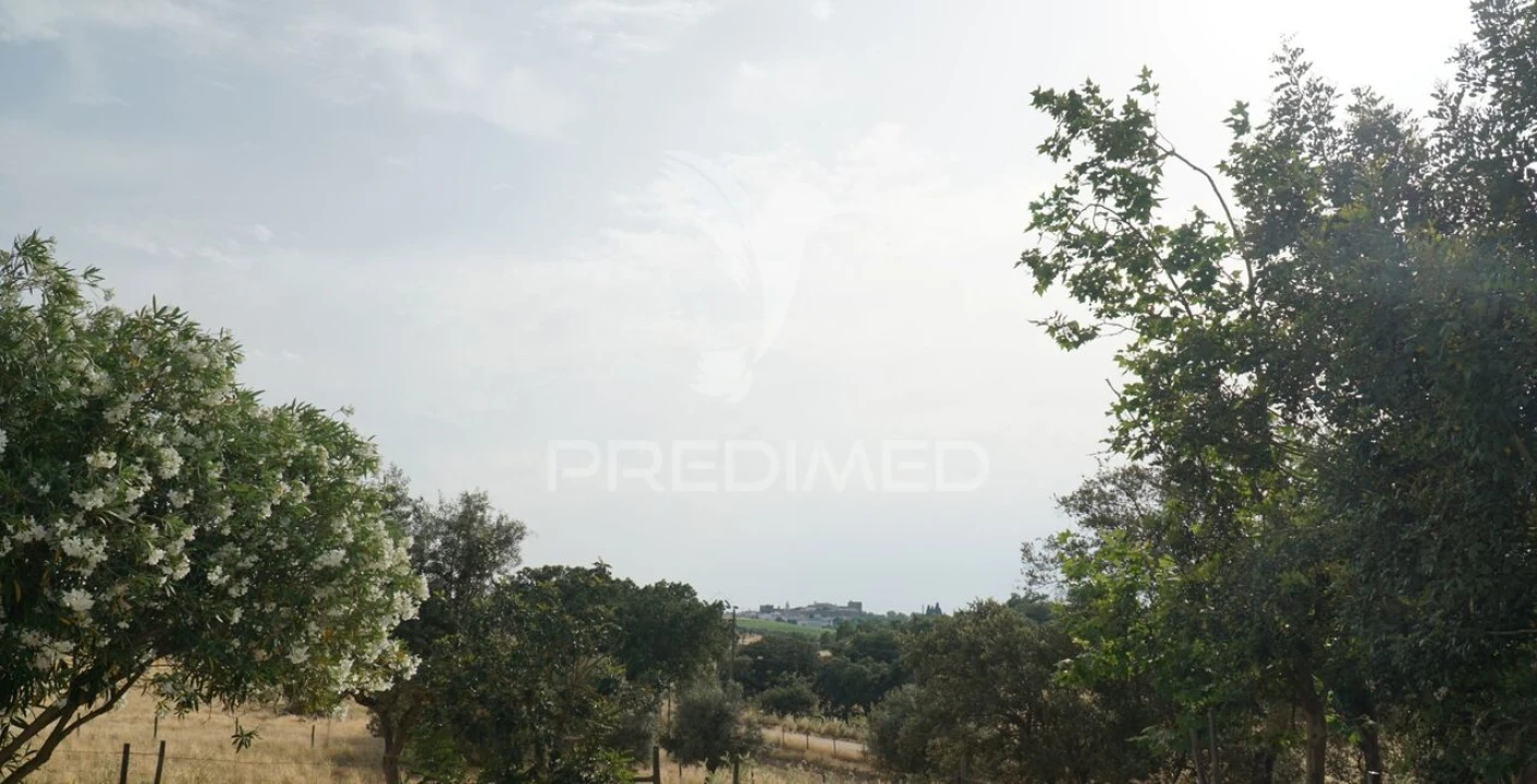 Quinta T5 para Venda em Redondo Foto 24