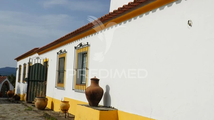 Quinta T5 para Venda em Redondo