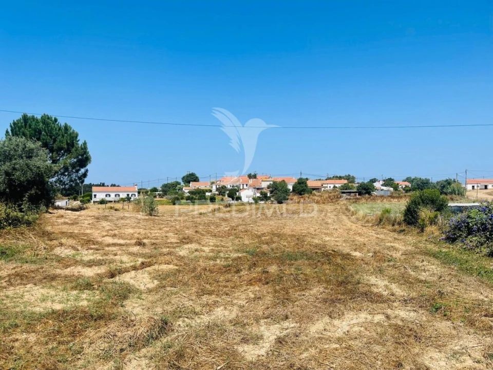 Terreno para Venda em São Luis Foto 14