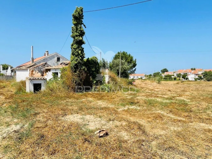 Terreno para Venda em São Luis Foto 13