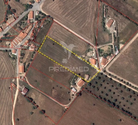 Terreno para Venda em São Luis Foto 9