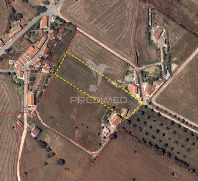 Terreno para Venda em São Luis Foto 9