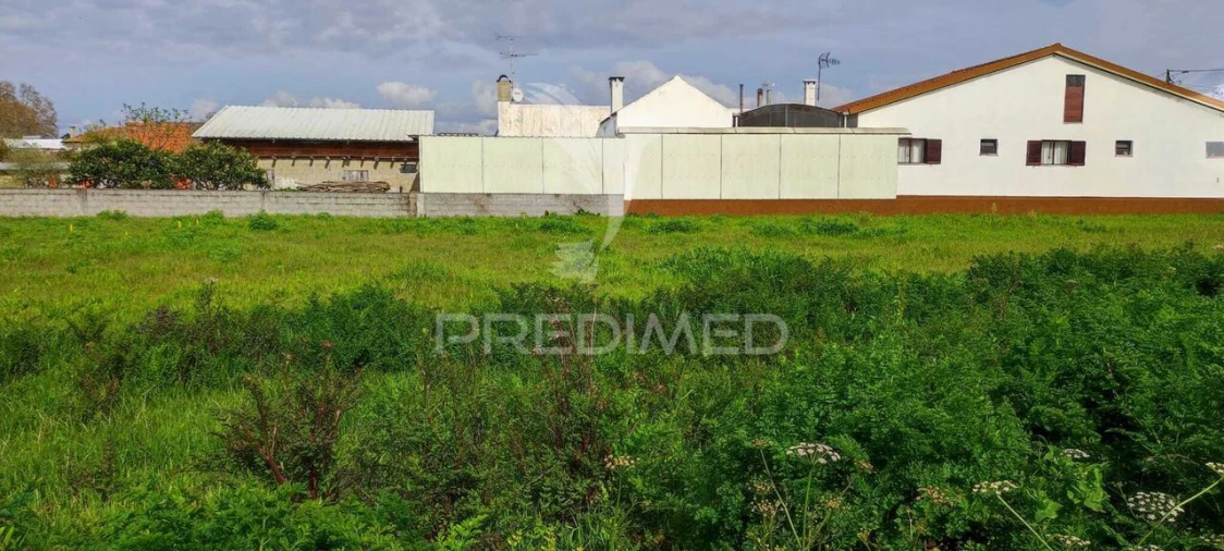 Terreno para Venda em Calvão Foto 3