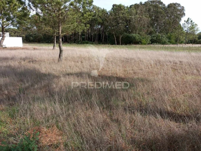 Terreno para Venda em Gafanha do Carmo
