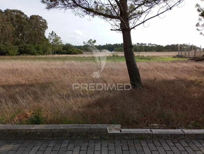 Terreno para Venda em Gafanha do Carmo Foto 2