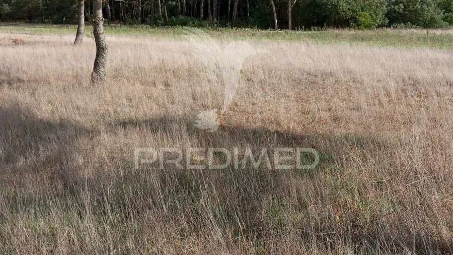 Terreno para Venda em Gafanha do Carmo