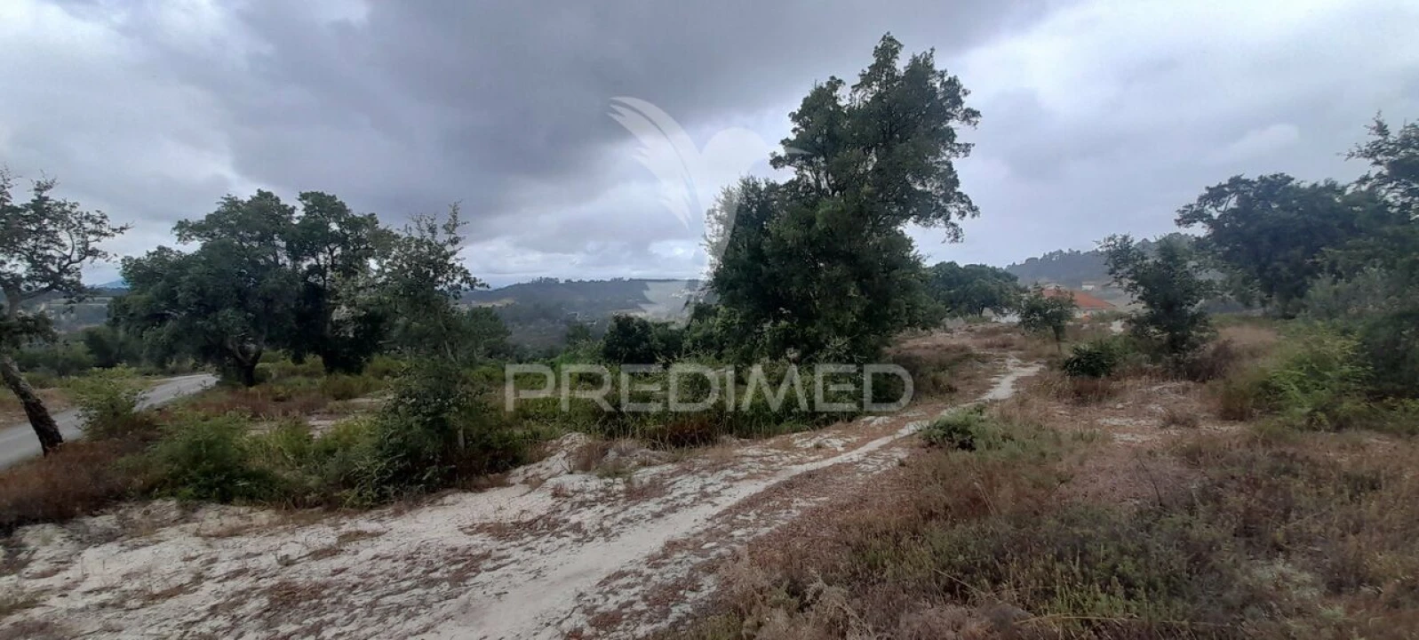 Terreno para Venda em Azambuja Foto 14