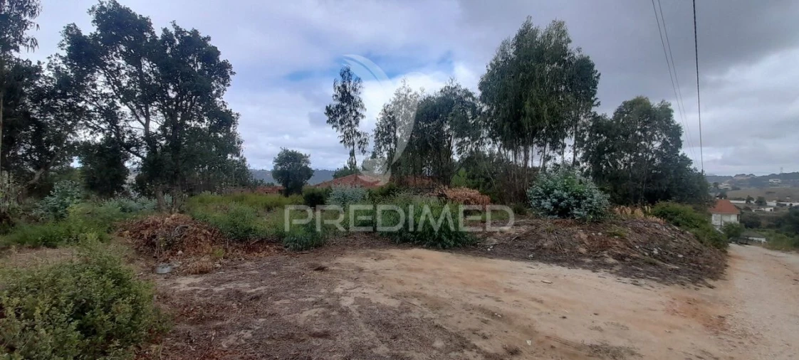 Terreno para Venda em Azambuja Foto 19