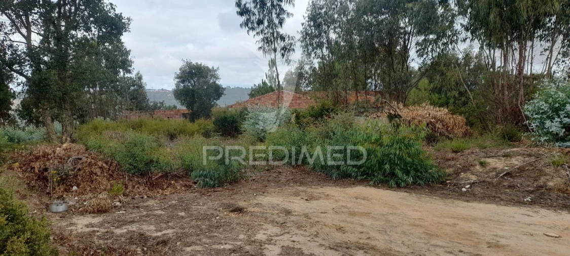 Terreno para Venda em Azambuja Foto 10