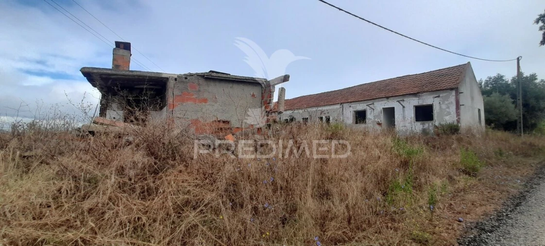 Terreno para Venda em Aveiras de Cima Foto 21