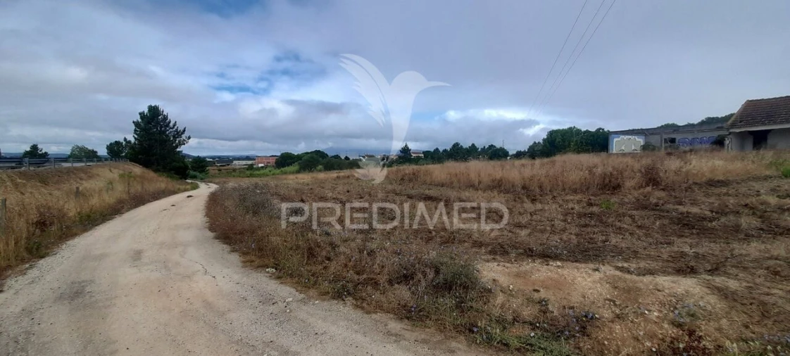Terreno para Venda em Aveiras de Cima Foto 19