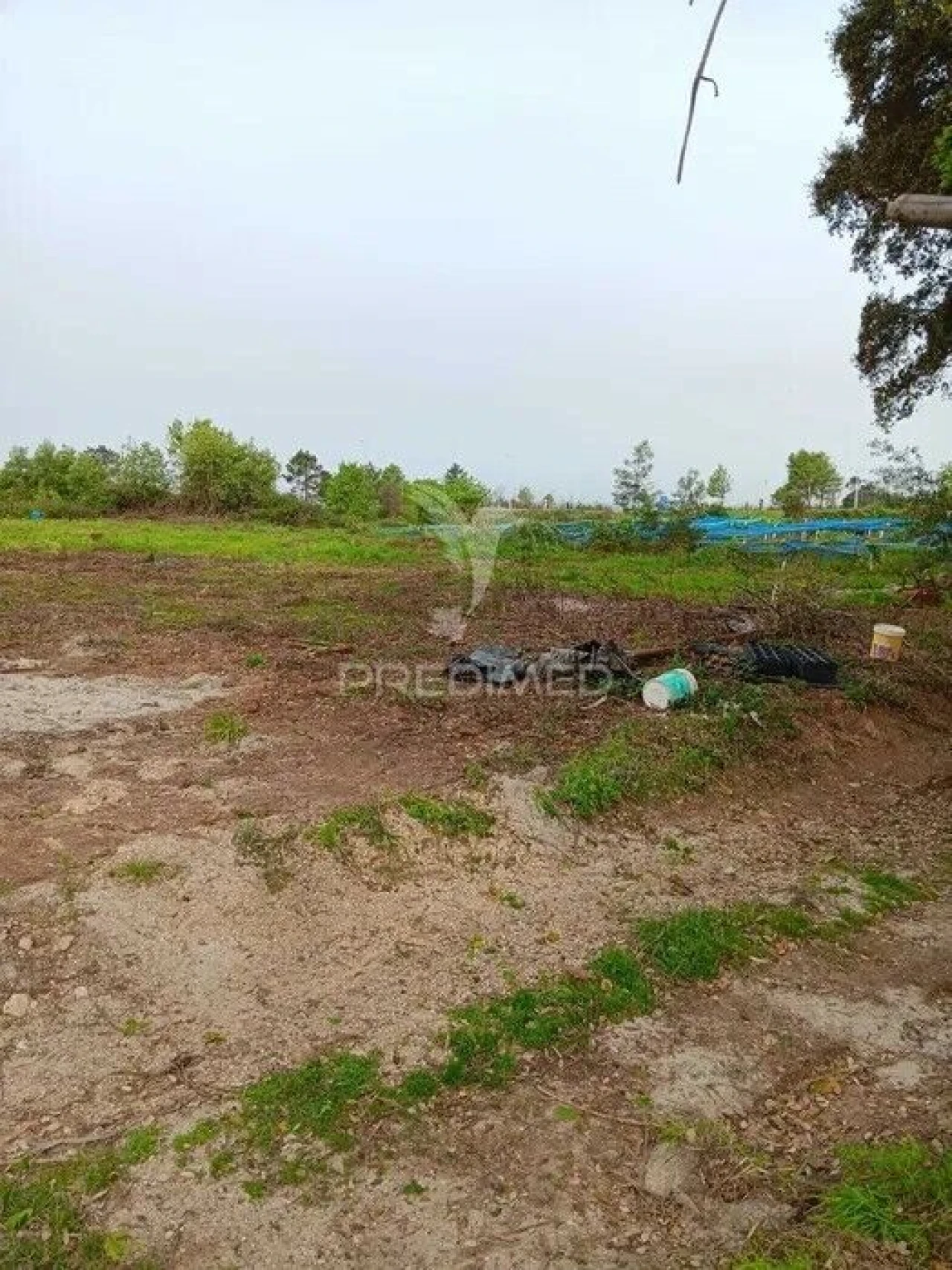 Terreno para Venda em Albergaria-A-Velha e Valmaior Foto 2