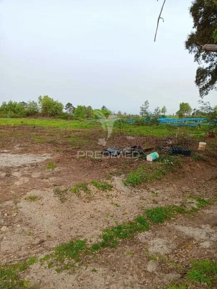 Terreno para Venda em Albergaria-A-Velha e Valmaior Foto 2