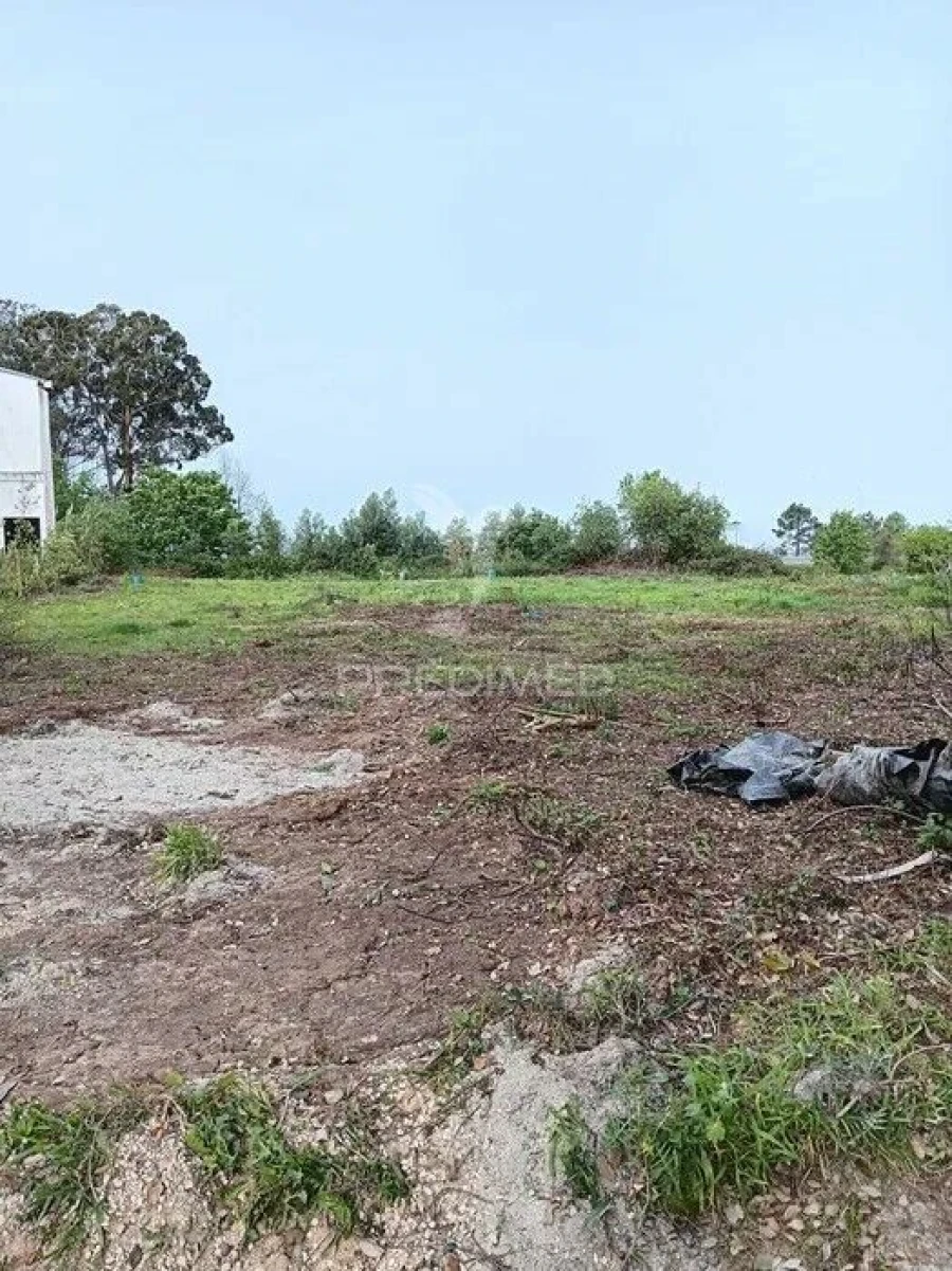 Terreno para Venda em Albergaria-A-Velha e Valmaior