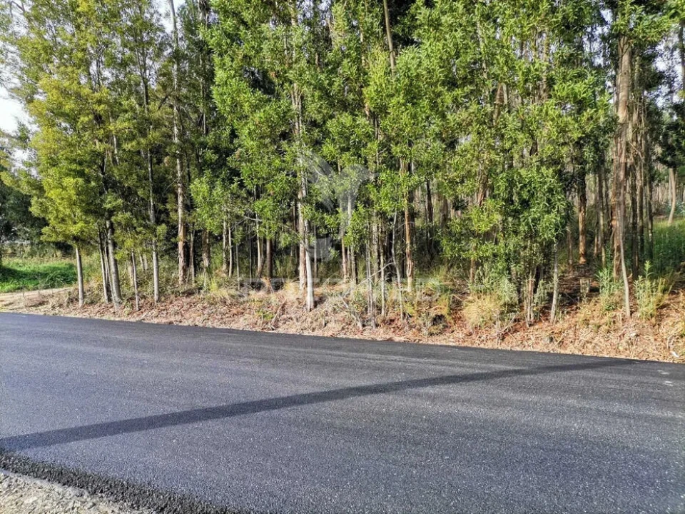 Terreno para Venda em Oliveirinha Foto 8