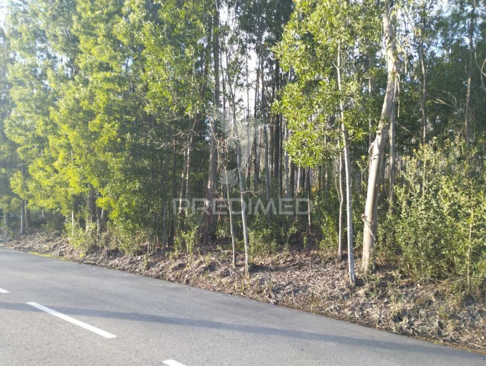 Terreno para Venda em Oliveirinha Foto 1