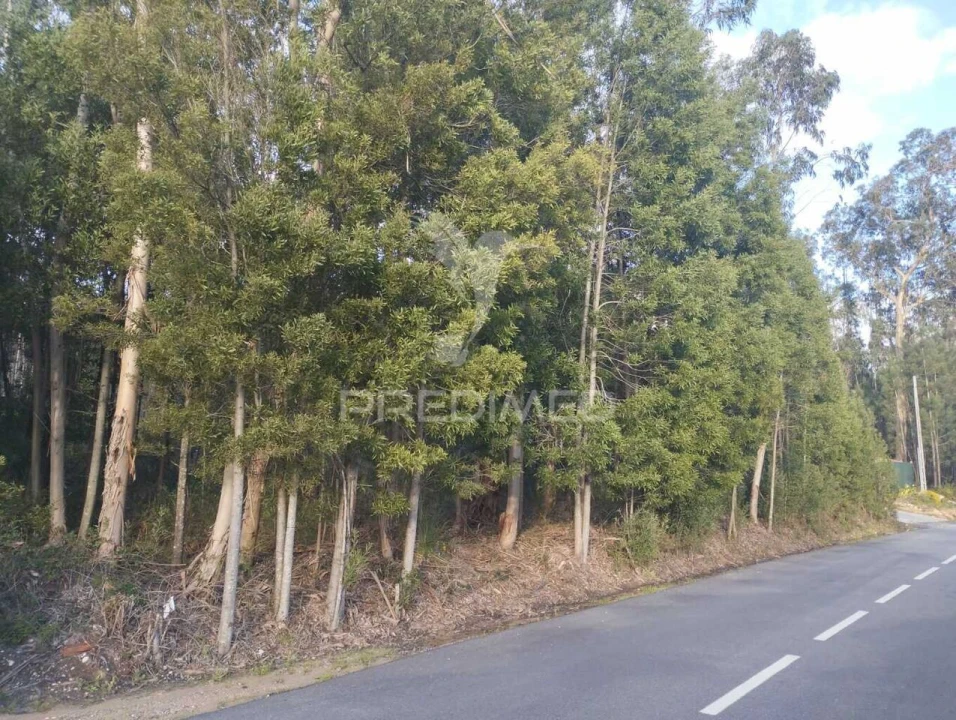 Terreno para Venda em Oliveirinha Foto 2