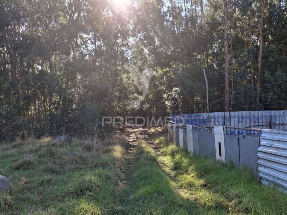 Terreno para Venda em Gaula Foto 9