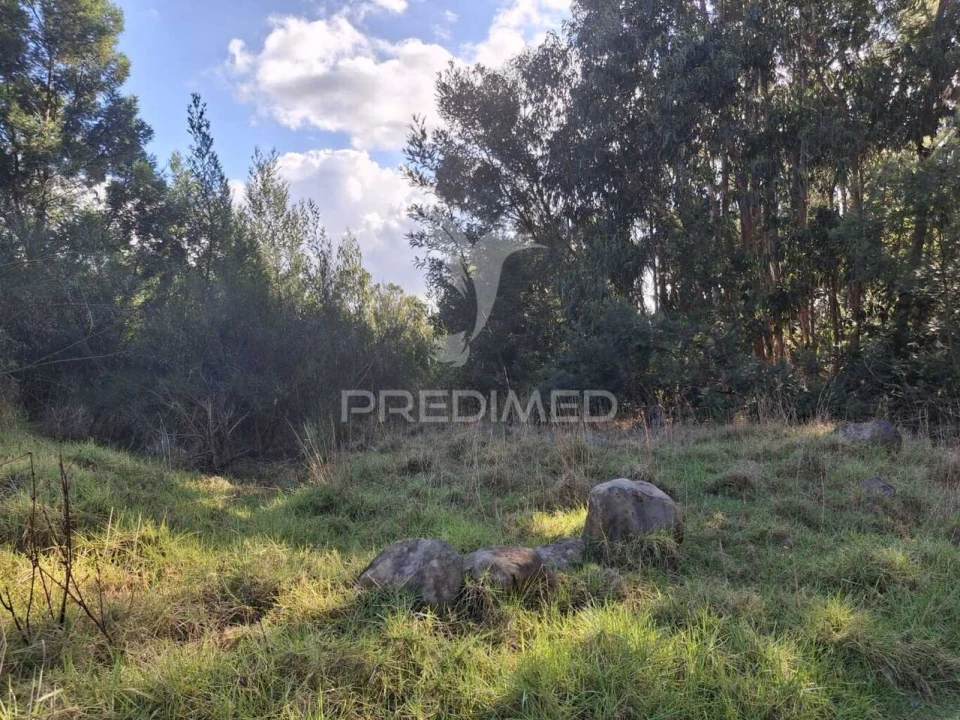 Terreno para Venda em Gaula Foto 5