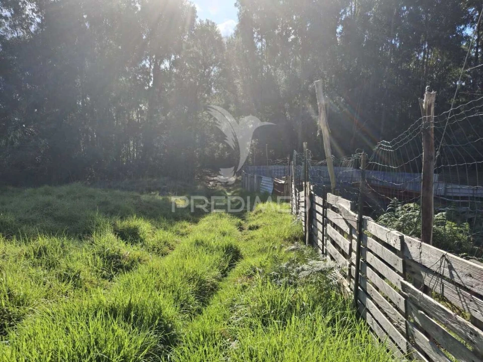 Terreno para Venda em Gaula Foto 8