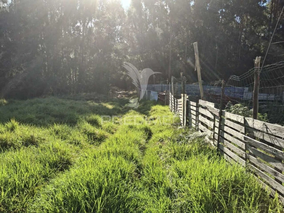 Terreno para Venda em Gaula Foto 7