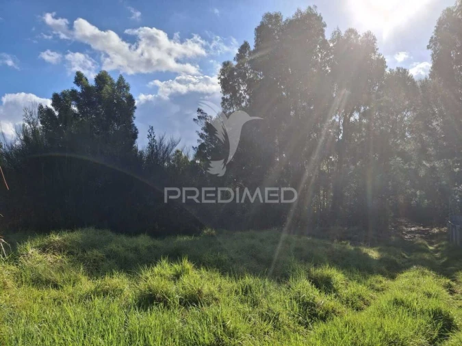 Terreno para Venda em Gaula Foto 1