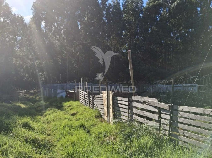 Terreno para Venda em Gaula Foto 6