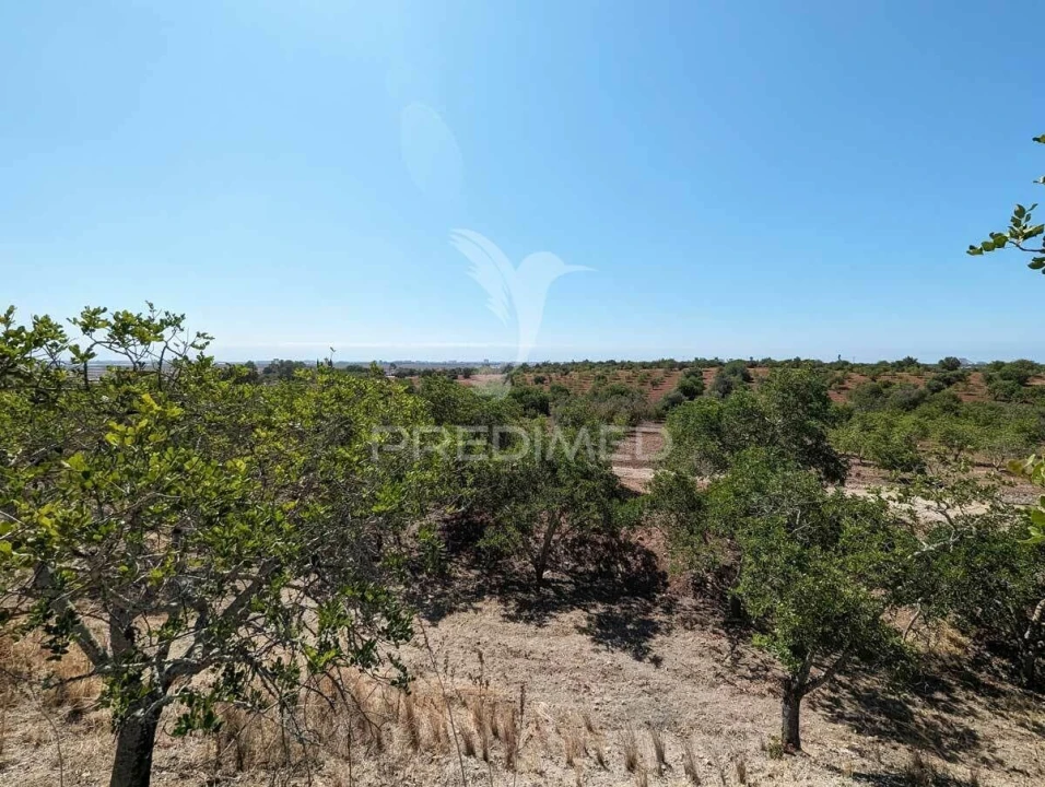 Quinta T9 para Venda em Castro Marim Foto 30