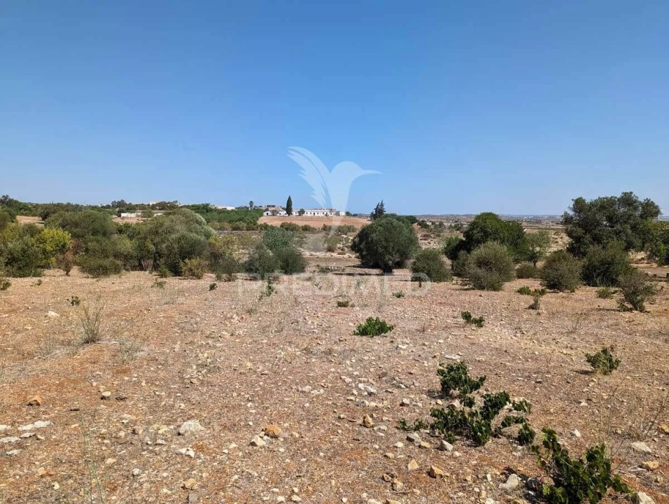 Quinta T9 para Venda em Castro Marim Foto 19