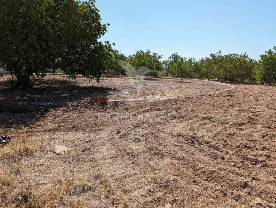 Quinta T9 para Venda em Castro Marim Foto 37