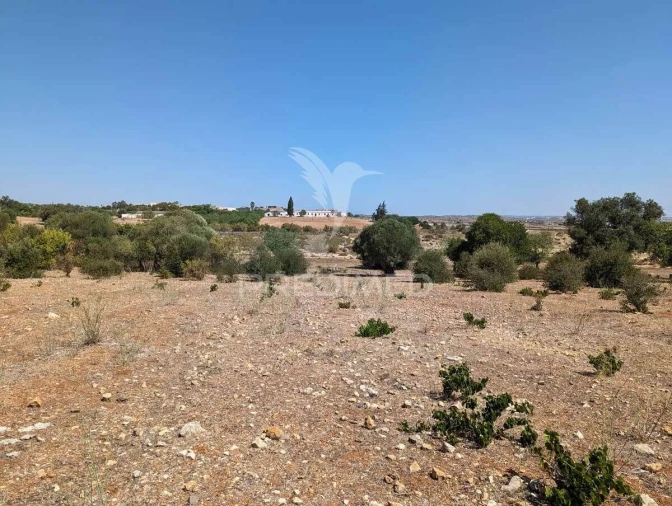 Quinta T9 para Venda em Castro Marim Foto 19