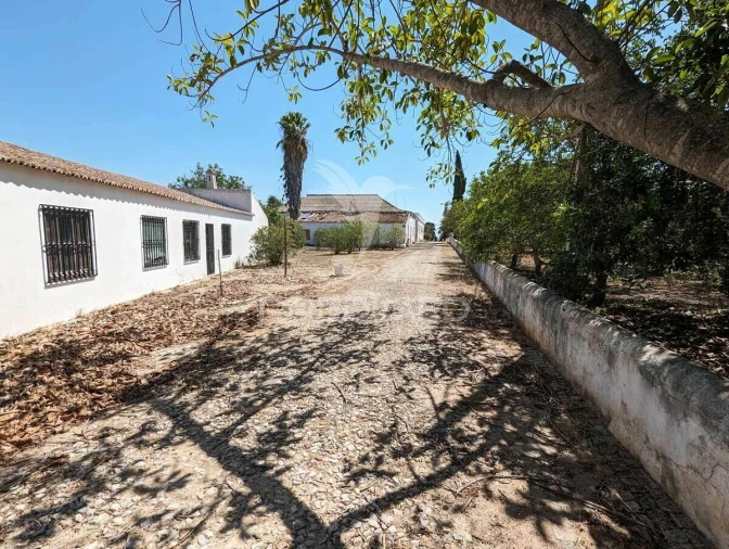 Quinta T9 para Venda em Castro Marim Foto 4