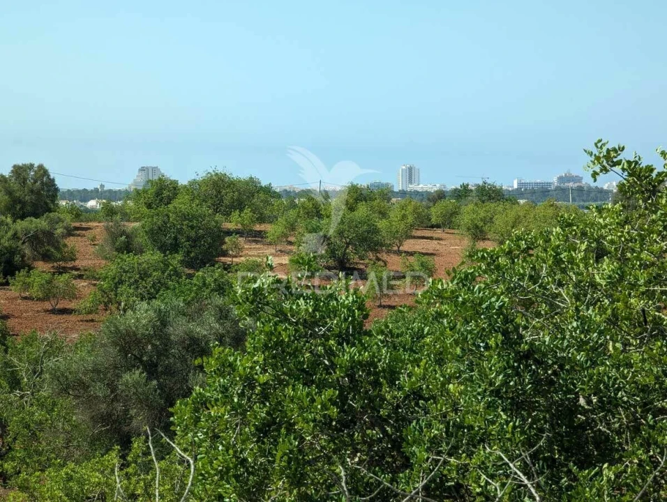 Terreno para Venda em Castro Marim Foto 32