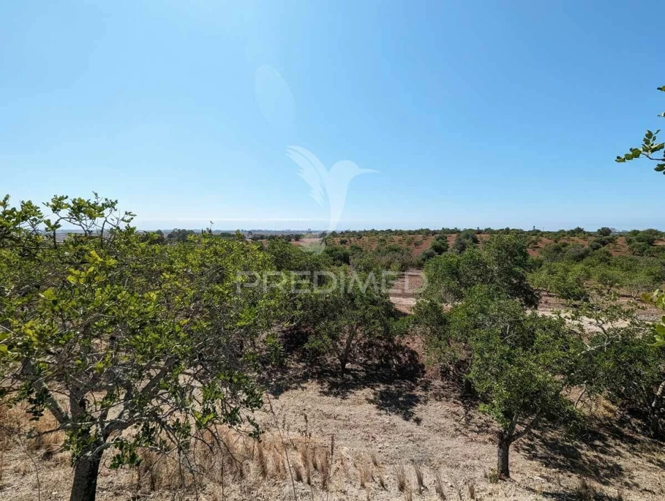 Terreno para Venda em Castro Marim Foto 30