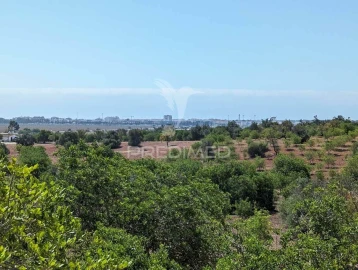 Terreno para Venda em Castro Marim