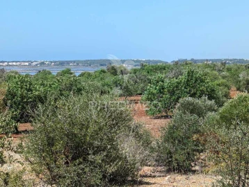 Terreno para Venda em Castro Marim