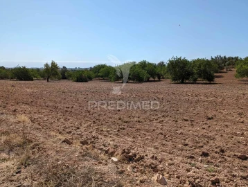 Terreno para Venda em Castro Marim