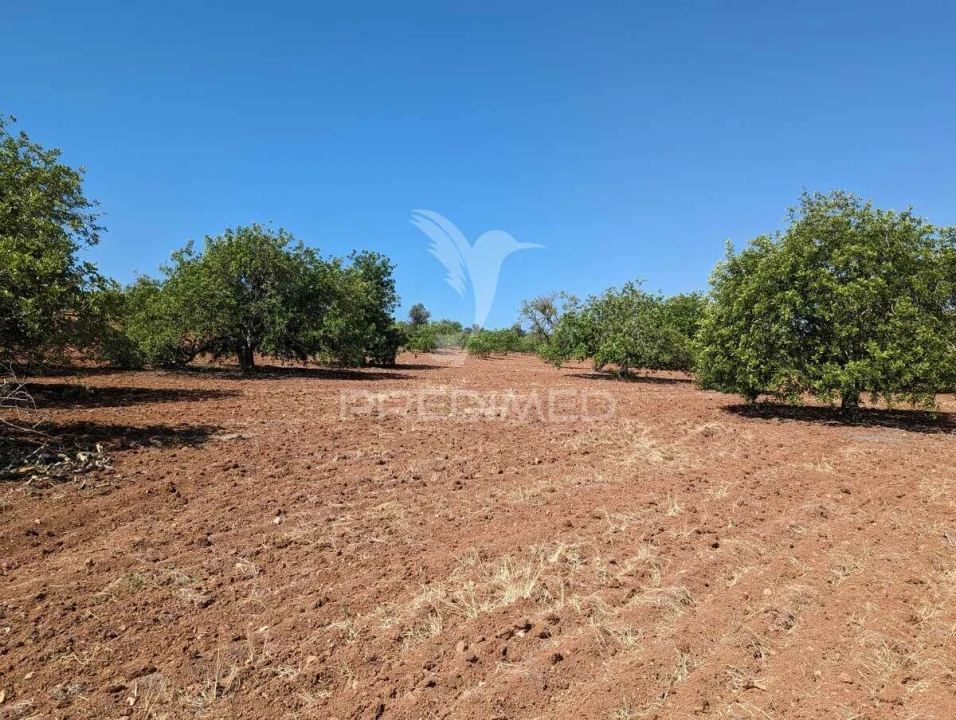 Terreno para Venda em Castro Marim Foto 26