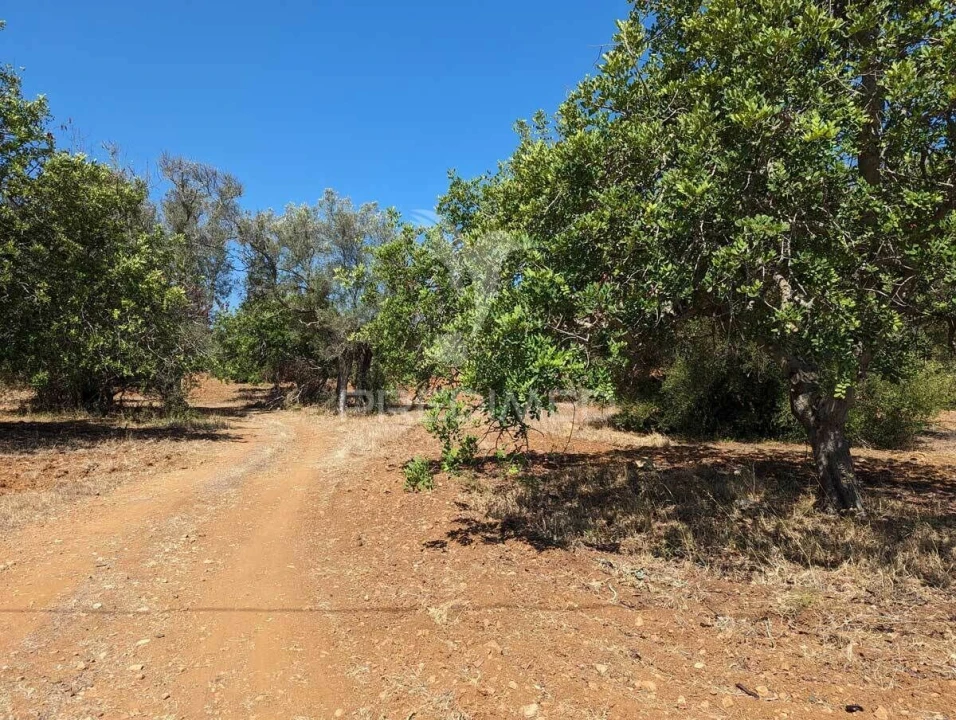Terreno para Venda em Castro Marim Foto 38
