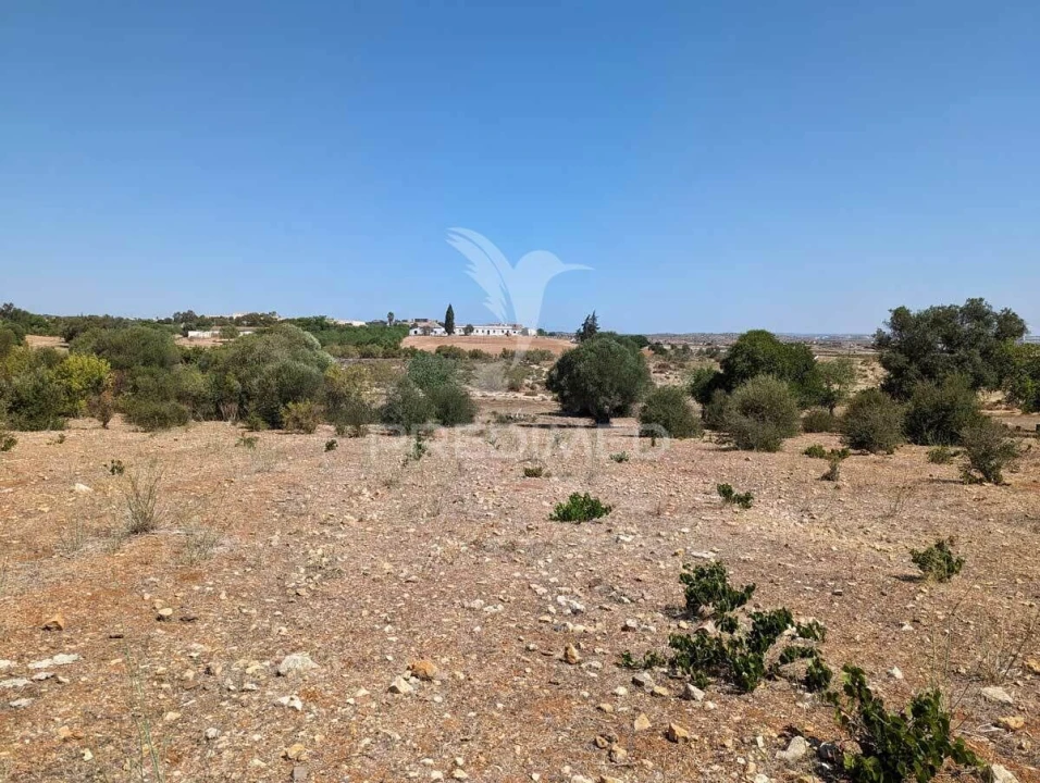 Terreno para Venda em Castro Marim Foto 20