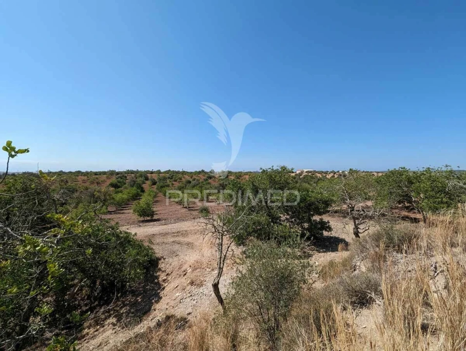 Terreno para Venda em Castro Marim Foto 31