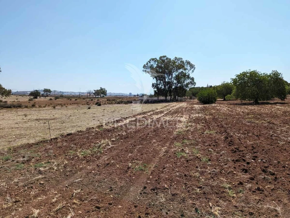 Terreno para Venda em Castro Marim Foto 27