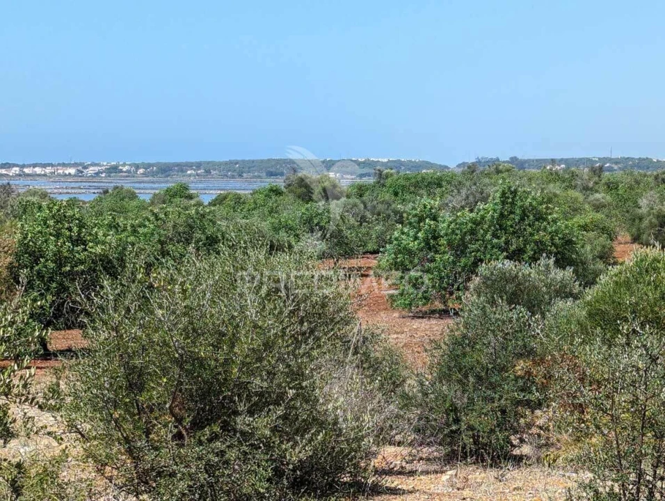 Terreno para Venda em Castro Marim Foto 22