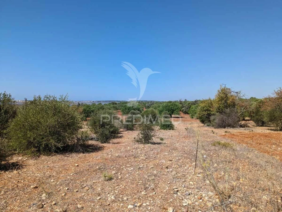 Terreno para Venda em Castro Marim Foto 24